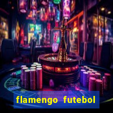 flamengo futebol play hd